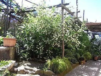 Casale Nunziatina Apartment