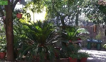 Apartment Casale Nunziatina