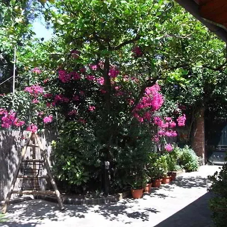 Apartment Casale Nunziatina